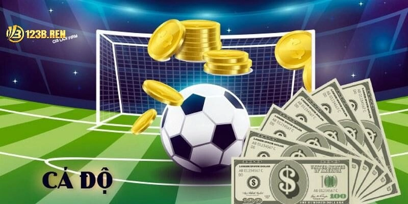 cách chơi cá độ bóng đá